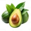 Avocado | அவகாடோ