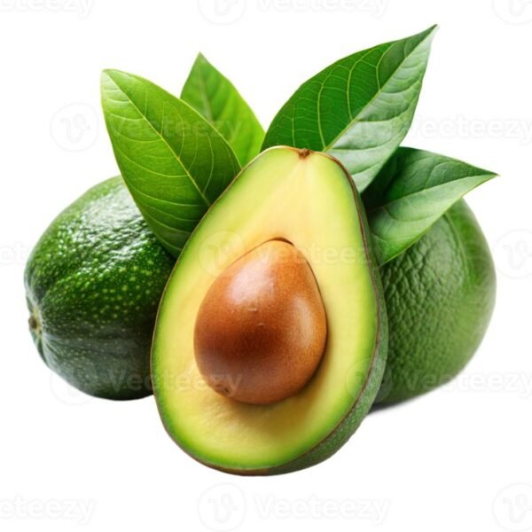 Avocado | அவகாடோ