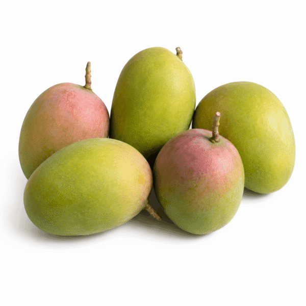 Alphonso Mango | ஆல்போன்சோ