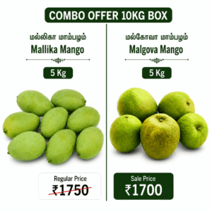 Mangoes Combo Offer - 10KG