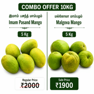 Mangoes Combo Offer - 10KG