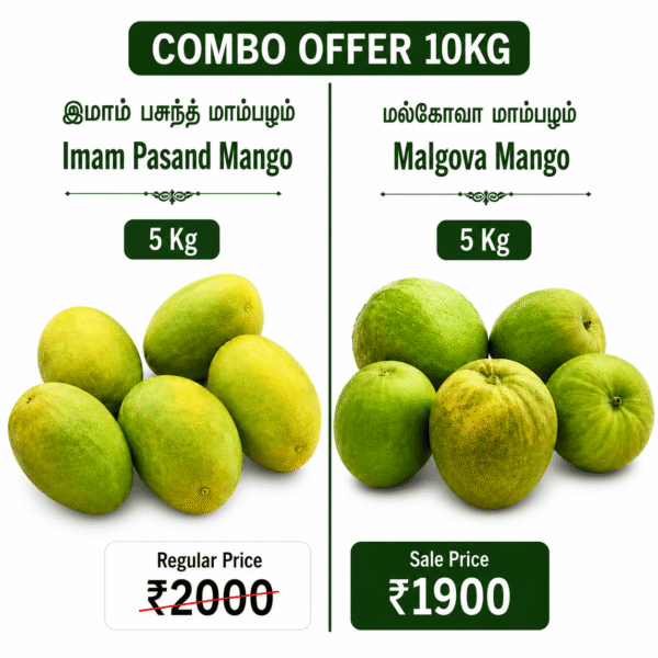 Mangoes Combo Offer - 10KG