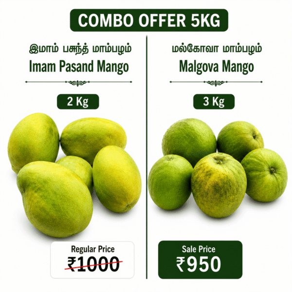 Mangoes Combo Offer - 5KG