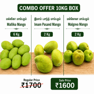 Mangoes Combo Offer - 10KG