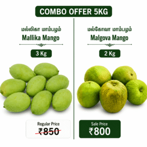 Mangoes Combo Offer -5kg