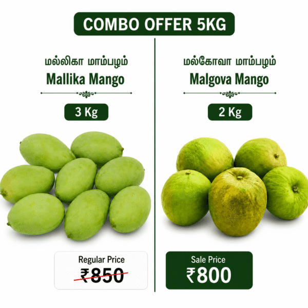 Mangoes Combo Offer -5kg