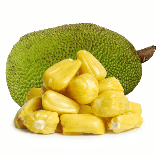 Jackfruit - பலாப்பழம்